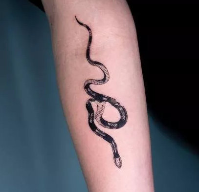 点击大图看下一张：传统风格的9张黑蛇纹身作品图