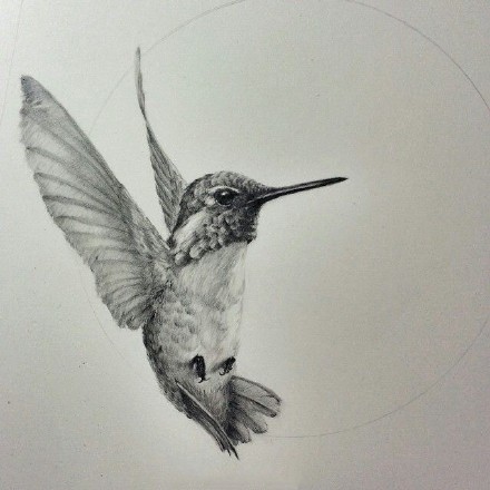 点击大图看下一张：一组蜂鸟主题的纹身图案作品