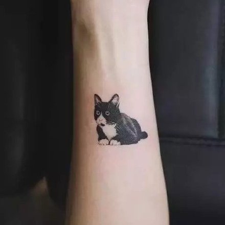 点击大图看下一张：18组可爱的小猫小狗的宠物纹身图