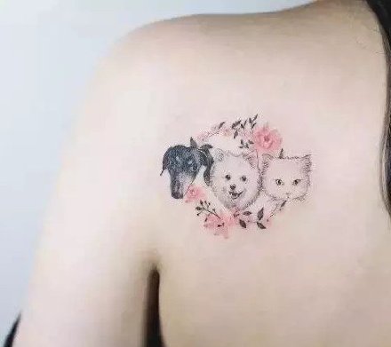 点击大图看下一张：18组可爱的小猫小狗的宠物纹身图