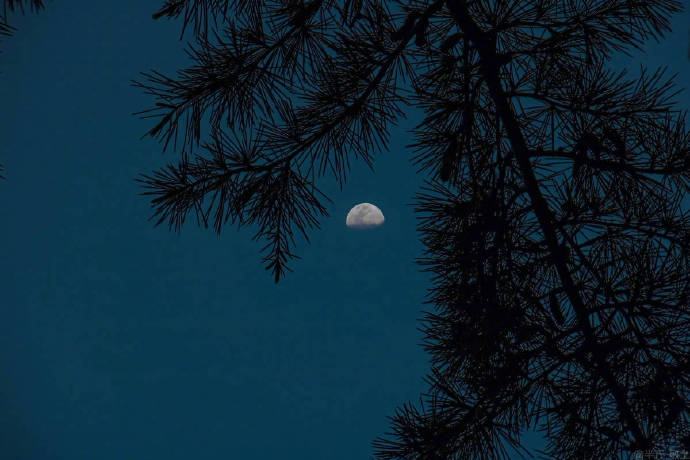 点击大图看下一张：月半弯，云墨染，一抹相思，轻缱绻