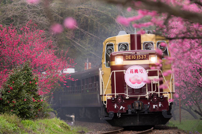 点击大图看下一张：一组特别美丽的开往春天的火车