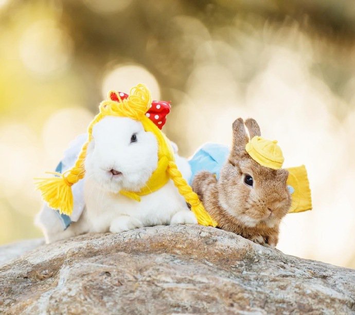 点击大图看下一张：一组超级可爱小兔子戴帽子图片欣赏