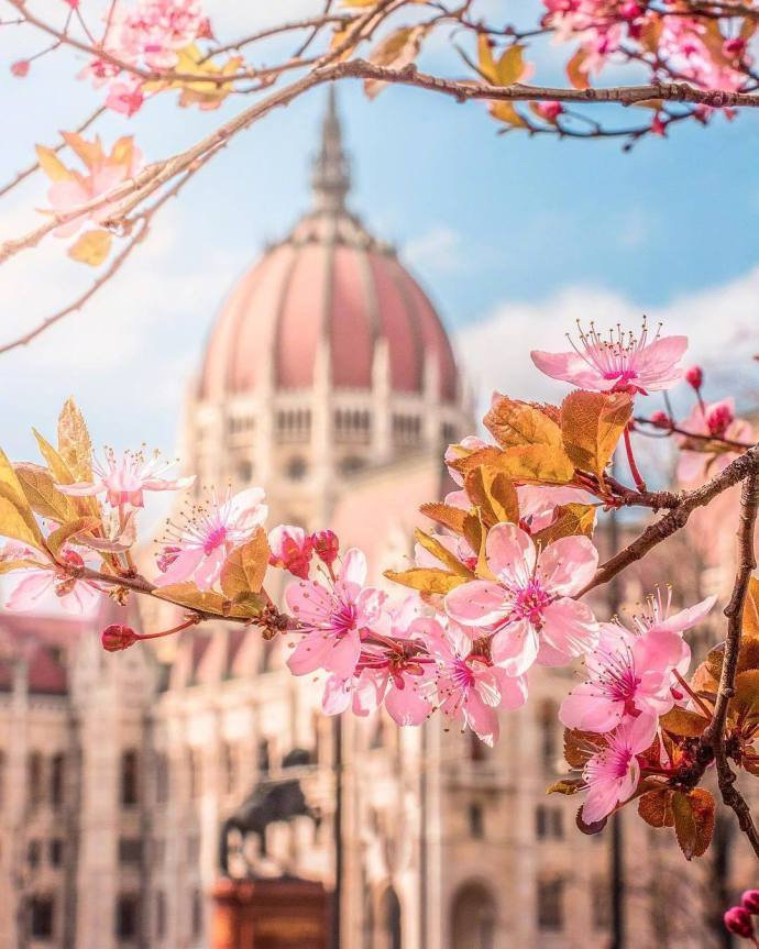 点击大图看下一张：一组风和日丽的布达佩斯的春天图片
