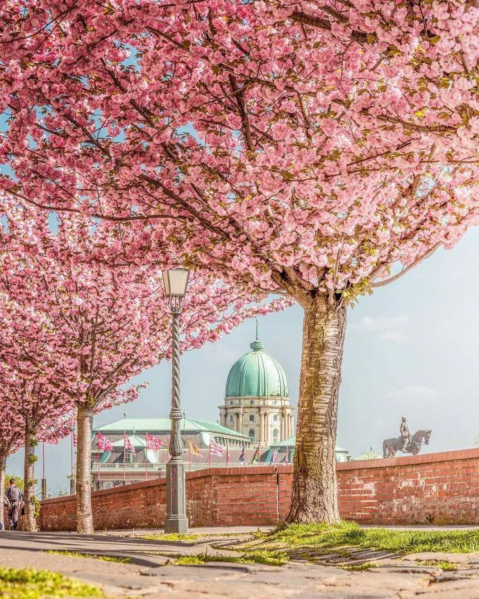 点击大图看下一张：一组风和日丽的布达佩斯的春天图片