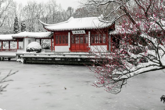 点击大图看下一张：江南未雪梅花白，忆梅人是江南客