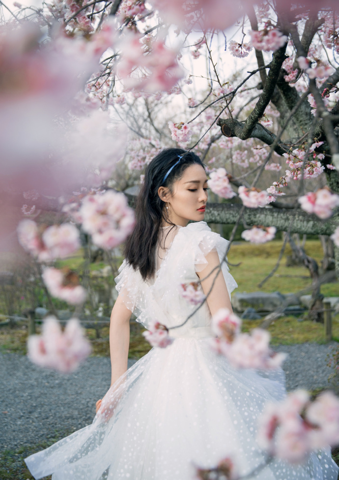 点击大图看下一张：李沁穿仙女裙在樱花下唯美浪漫写真