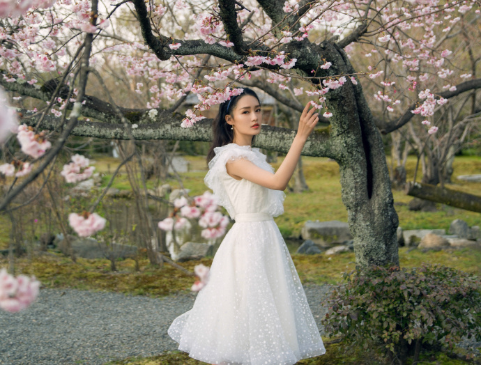 点击大图看下一张：李沁穿仙女裙在樱花下唯美浪漫写真