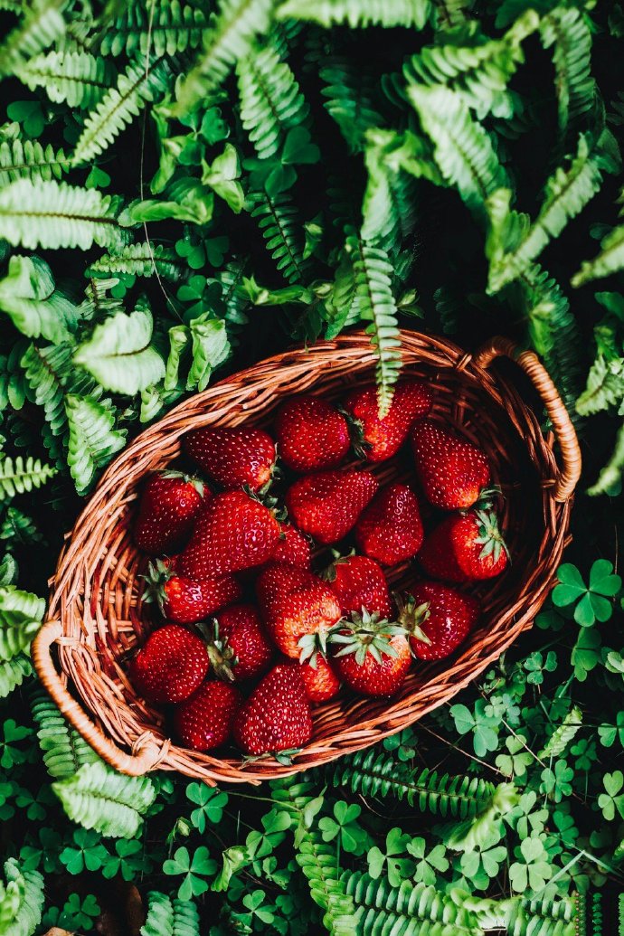 点击大图看下一张：草莓不但好看 吃起来也甜甜的