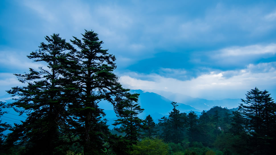 点击大图看下一张：四川西岭雪山美丽的自然风景图片