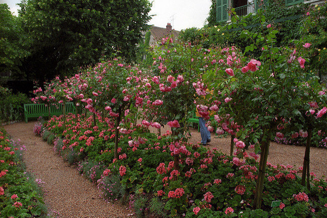点击大图看下一张：吉维尼，莫奈的房子和花园里有着美丽的鲜花
