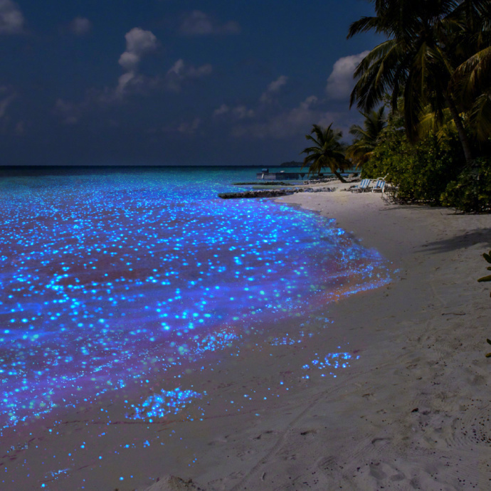 点击大图看下一张：想和心爱的人去一次马尔代夫Vaadhoo岛，一起去捞海里的星星