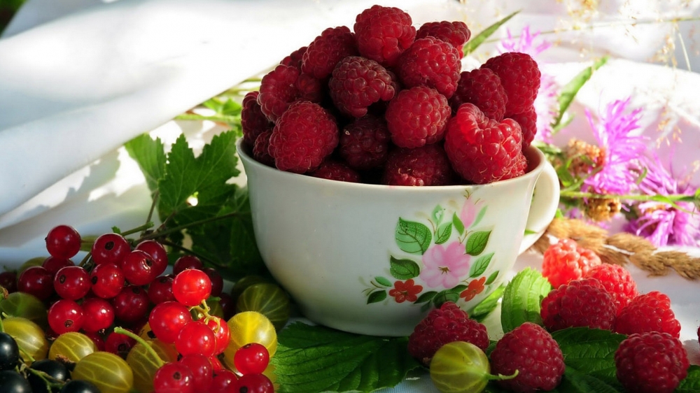点击大图看下一张：一组红彤彤的好看的树莓图片欣赏