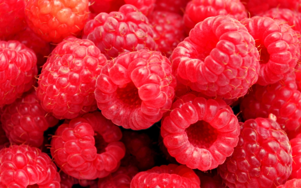 点击大图看下一张：一组红彤彤的好看的树莓图片欣赏