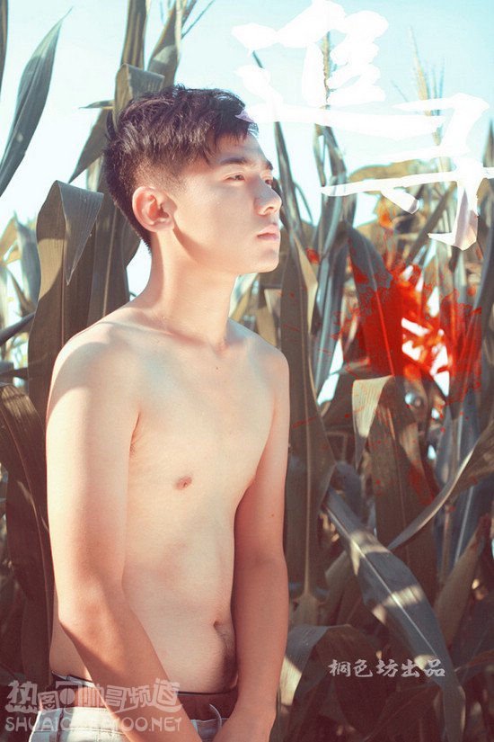 点击大图看下一张：中国男模裸上半身艺术写真图片6张