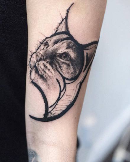 点击大图看下一张：一组手臂上的暗黑动物纹身图案