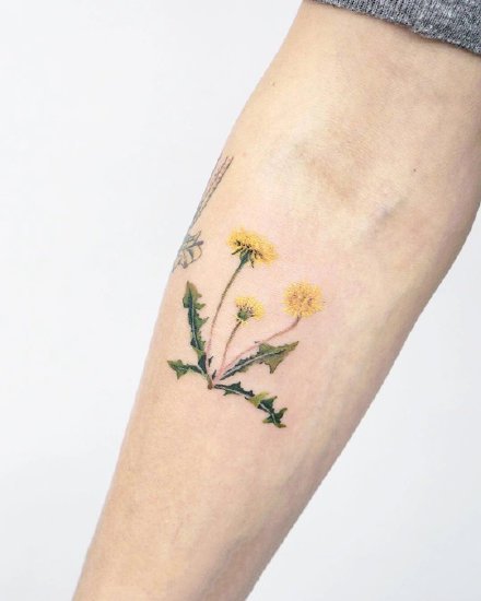 点击大图看下一张：18组清新的小花草女神专属纹身图