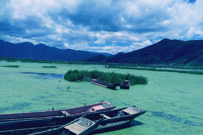 点击大图看下一张：泸沽湖草海的春日风光美景图片欣赏