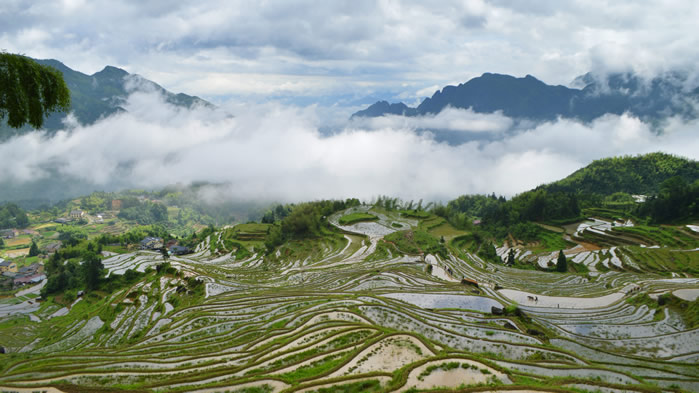 点击大图看下一张：美丽的云和梯田风景高清图片欣赏