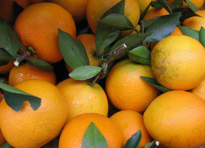 点击大图看下一张：香甜含丰富维C的橙子图片欣赏
