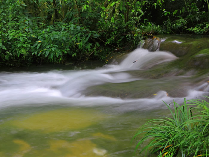 点击大图看下一张：唯美大自然水上河流森林图片欣赏