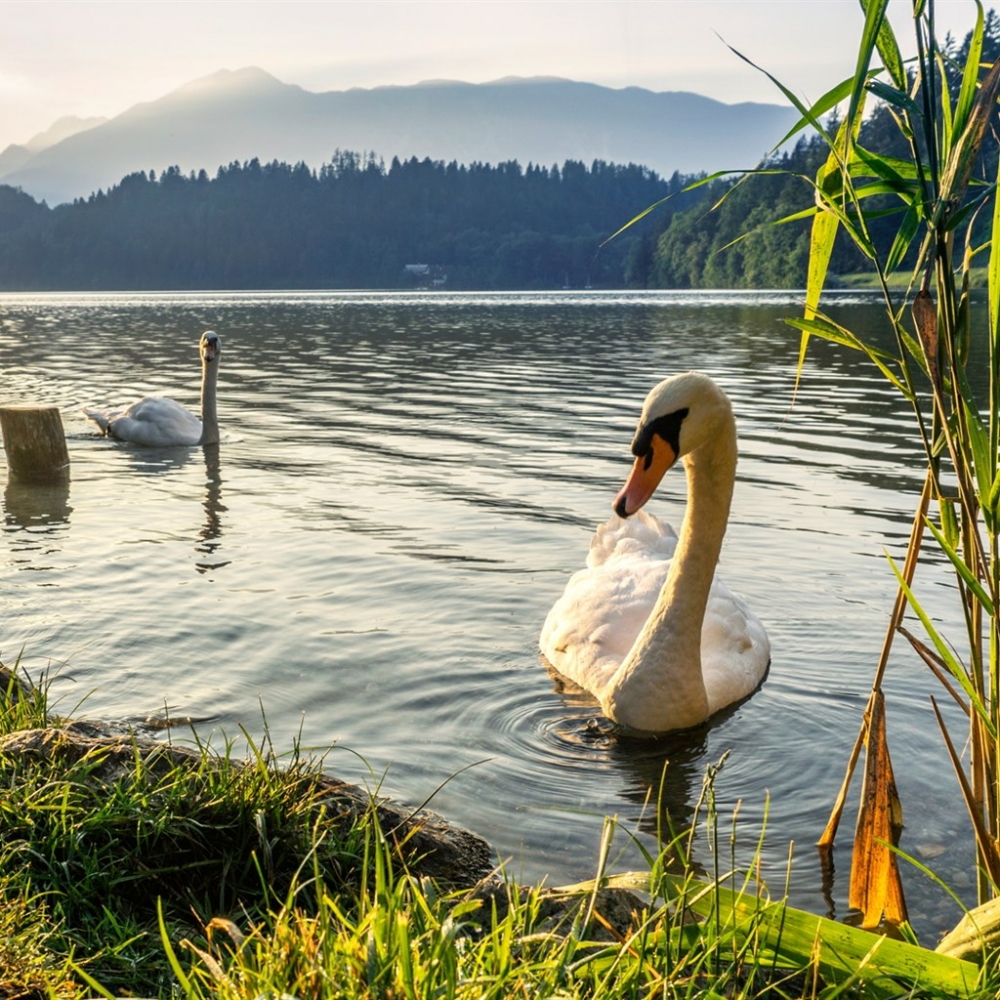 点击大图看下一张：一组清新美丽的自然湖边美景图片欣赏