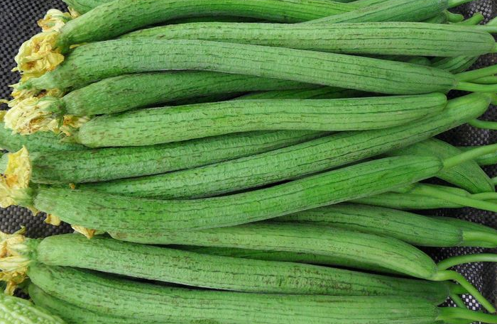 点击大图看下一张：一组长长的丝瓜含有多种营养的蔬菜