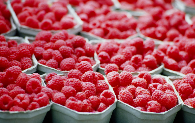 点击大图看下一张：吃起来是酸酸甜甜的树莓图片