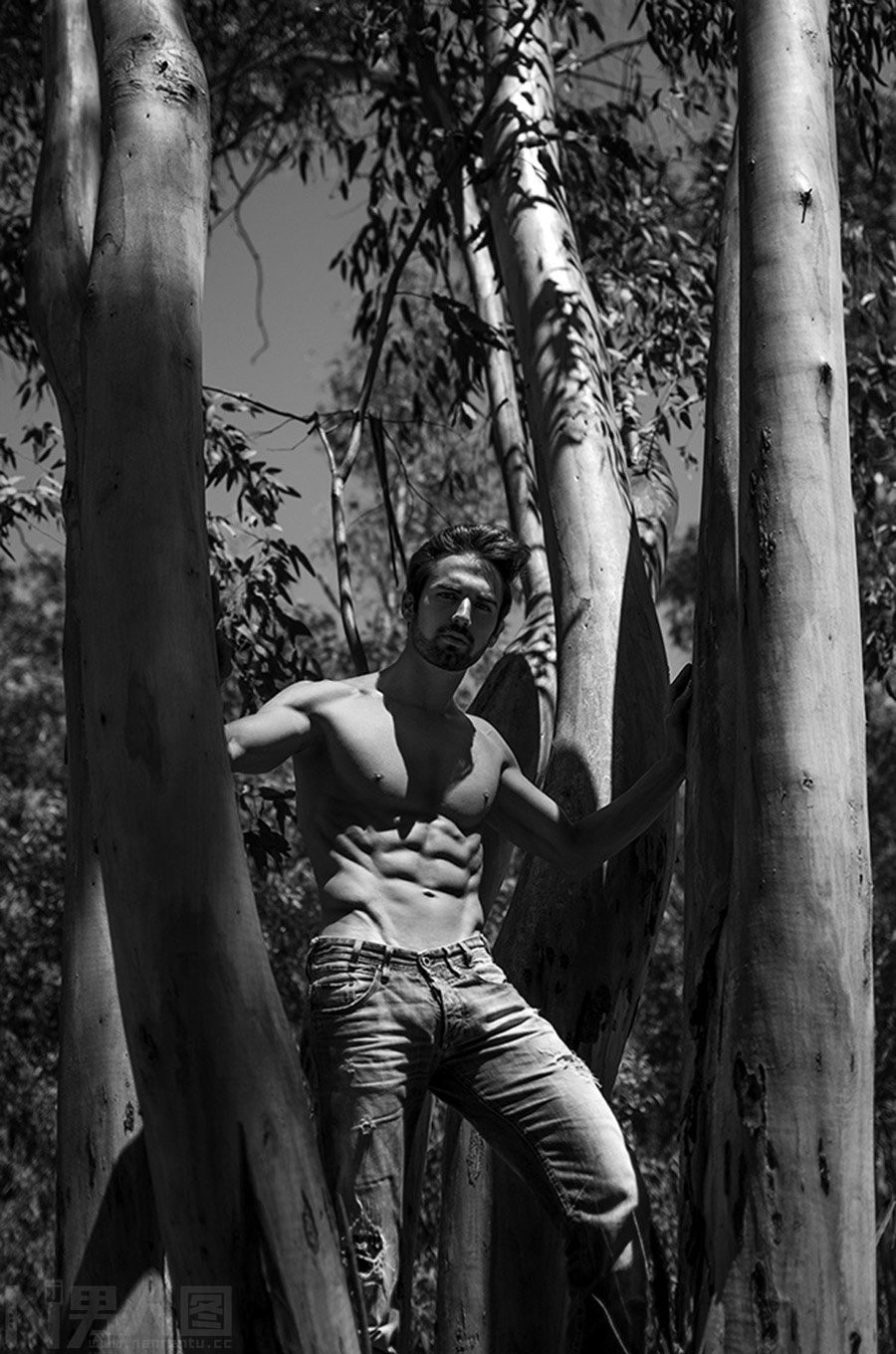 点击大图看下一张：欧美帅哥树林中穿牛仔裤写真图片