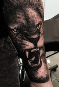 凶猛纹身图案 不同动物的凶猛表情的动物头面部纹身图案