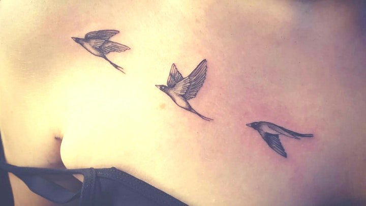 点击大图看下一张：小鸟纹身图案 10组不同种类的鸟主题纹身图案欣赏