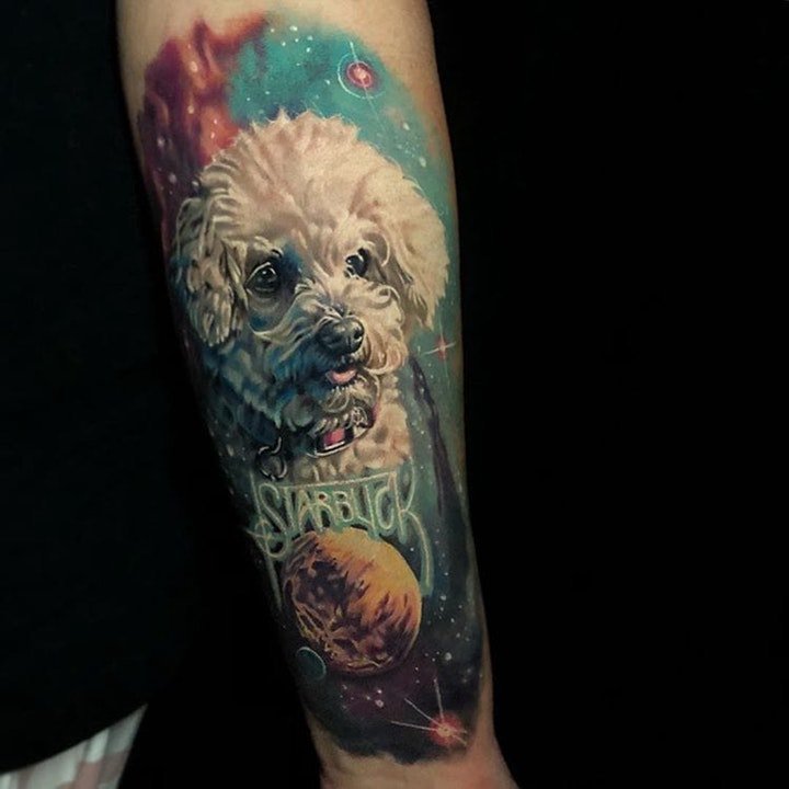 点击大图看下一张：纹身图案动物    8张呆萌可爱的宠物纹身图案