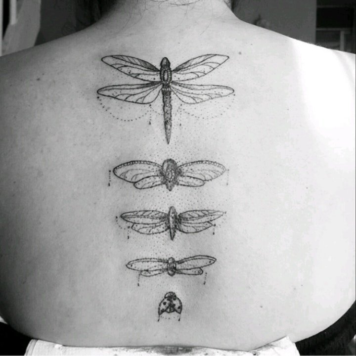 点击大图看下一张：纹身黑色 多款黑色色调的小巧昆虫纹身图案