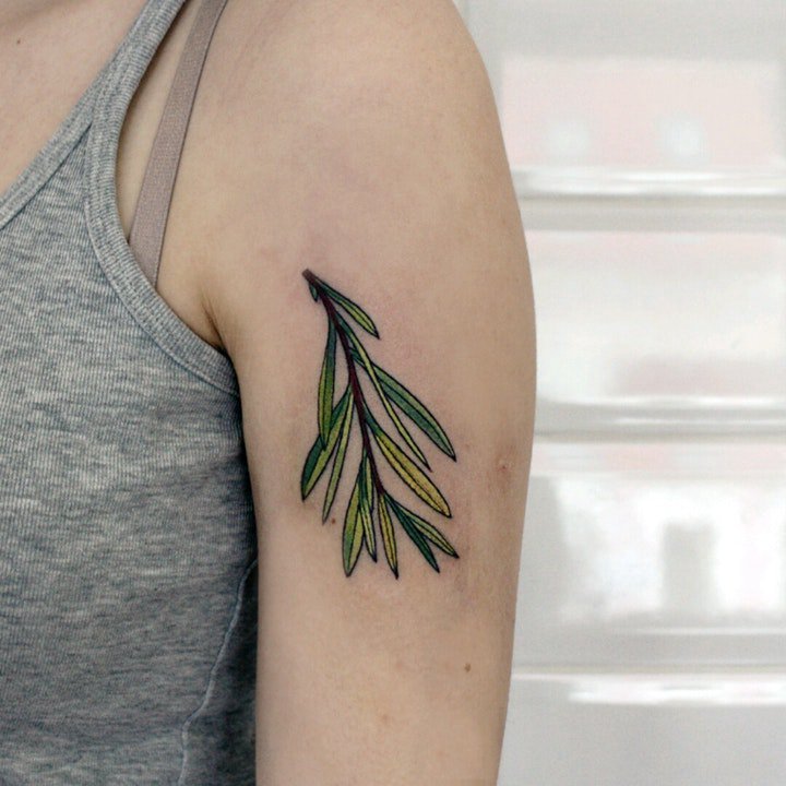 点击大图看下一张：植物纹身图案 10张唯美且清新的植物纹身图案
