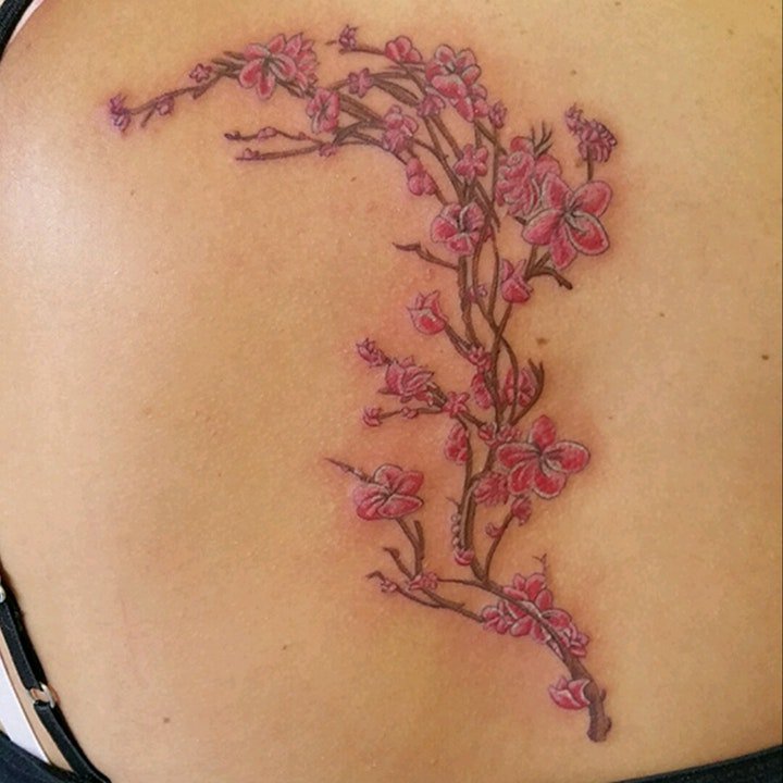 点击大图看下一张：梅花纹身图案 多款十分漂亮的中国风红色传统梅花纹身图案