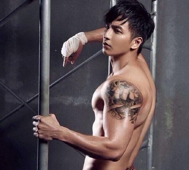 点击大图看下一张：中国男模杨奇煜胸肌艺术图片