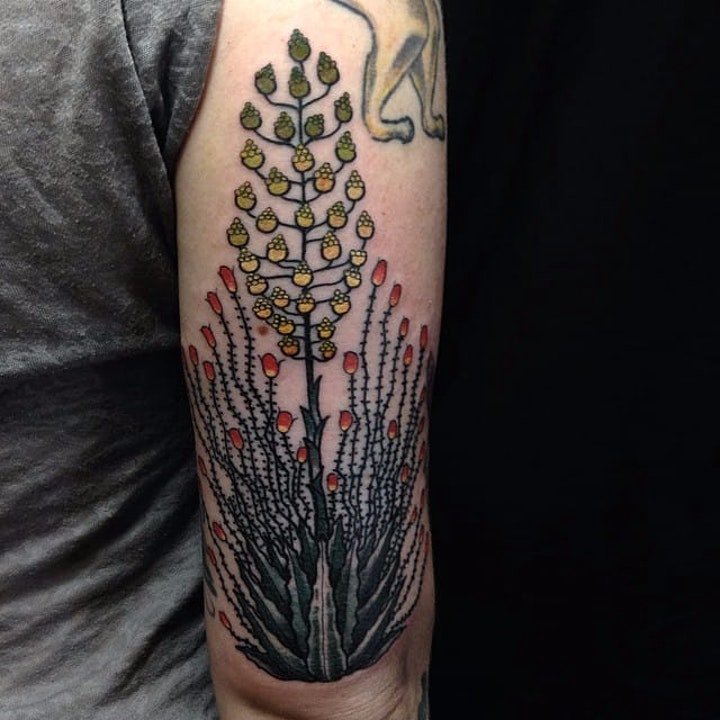 点击大图看下一张：植物纹身图案 彩色纹身品种不同的植物纹身图案