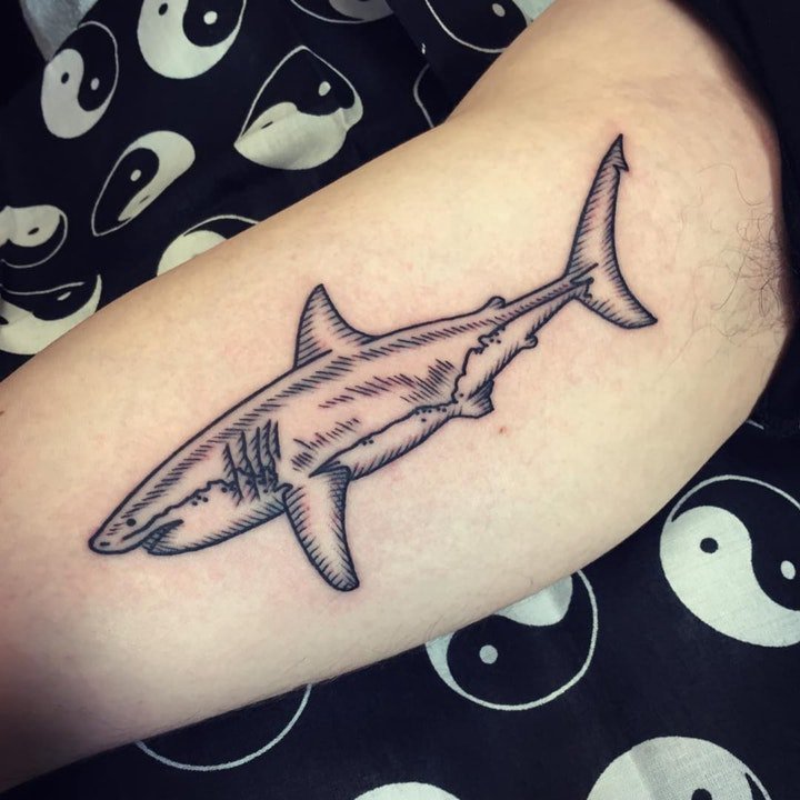 点击大图看下一张：鲨鱼纹身图   9张凶猛骇人的鲨鱼主题纹身图案