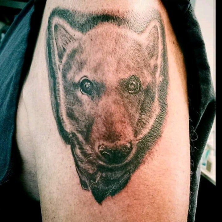 点击大图看下一张：纹身狼的图案 10款冷漠而又狂野的狼纹身图案