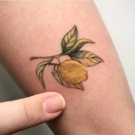 点击大图看下一张：柠檬的纹身 9张关于柠檬的主题纹身图片