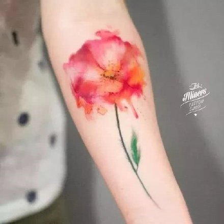 点击大图看下一张：纹身罂粟花 艳丽漂亮的一组罂粟花纹身图案作品