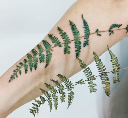 点击大图看下一张：纹身植物图片 很小清新的一组花卉植物纹身图片