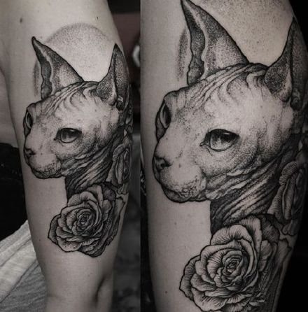 点击大图看下一张：猫刺青图片 一组动物宠物猫的纹身图片欣赏