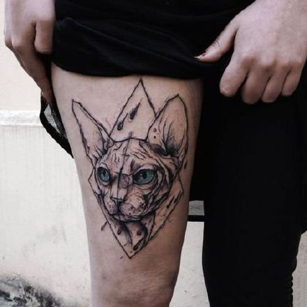 点击大图看下一张：猫刺青图片 一组动物宠物猫的纹身图片欣赏