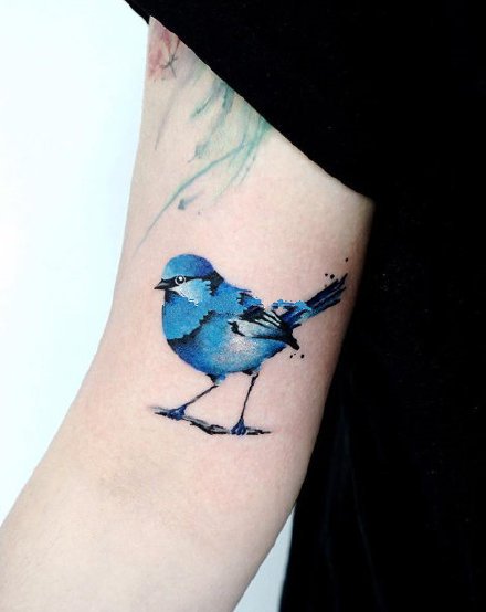 点击大图看下一张：鸟纹身 9张很可爱的小清新小小鸟纹身图案