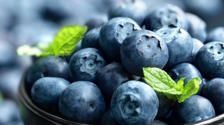 点击大图看下一张：蓝莓是一颗小小的水果，颜色是紫色的