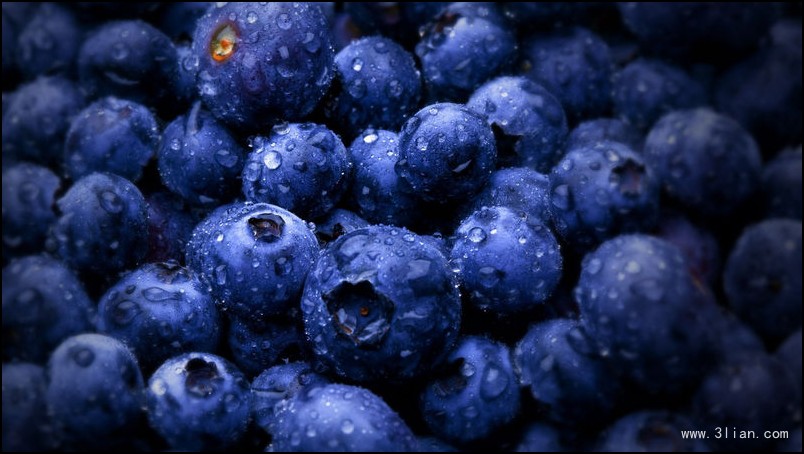 点击大图看下一张：一组小小圆圆的蓝莓图片欣赏