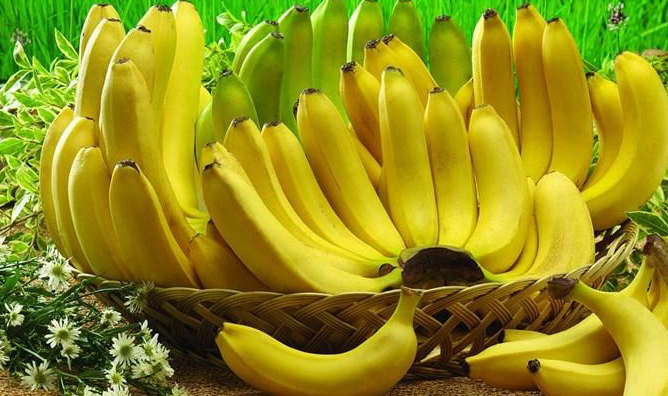 点击大图看下一张：一组含有多种营养的香蕉图片欣赏