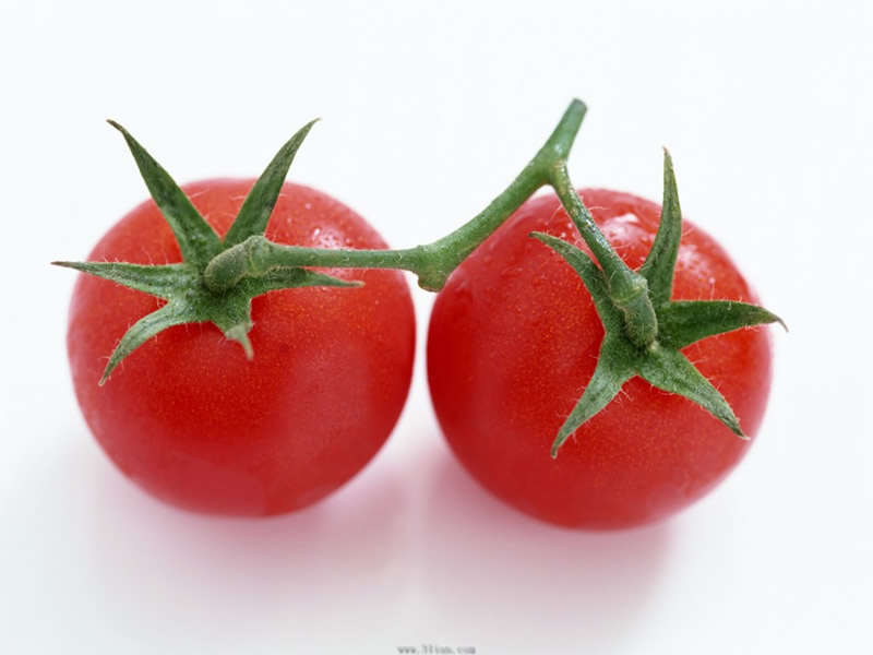 点击大图看下一张：番茄有大有小呈扁球形，像一个个小灯笼