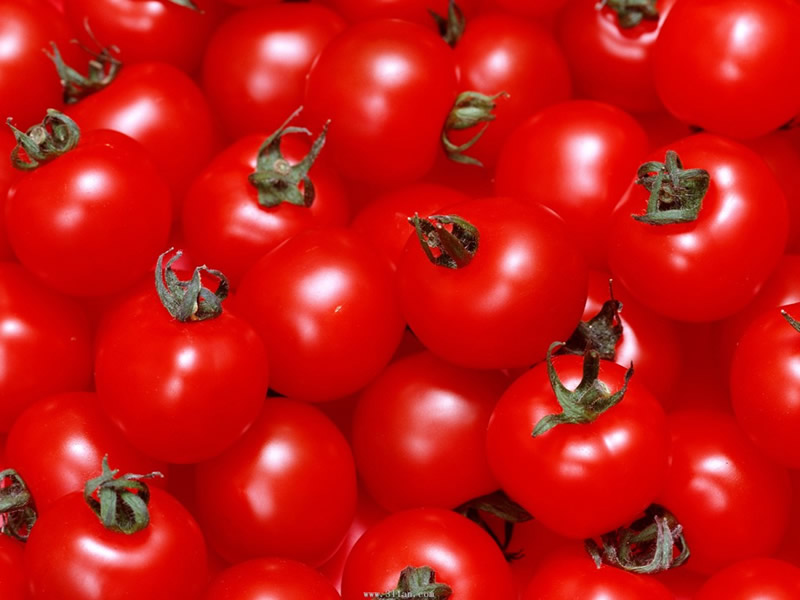 点击大图看下一张：又圆又红的西红柿像苹果